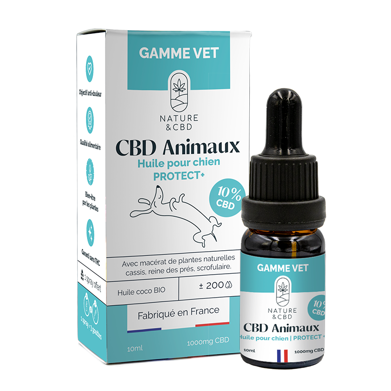 Huile CBD Animaux Protect+ 10% - chien